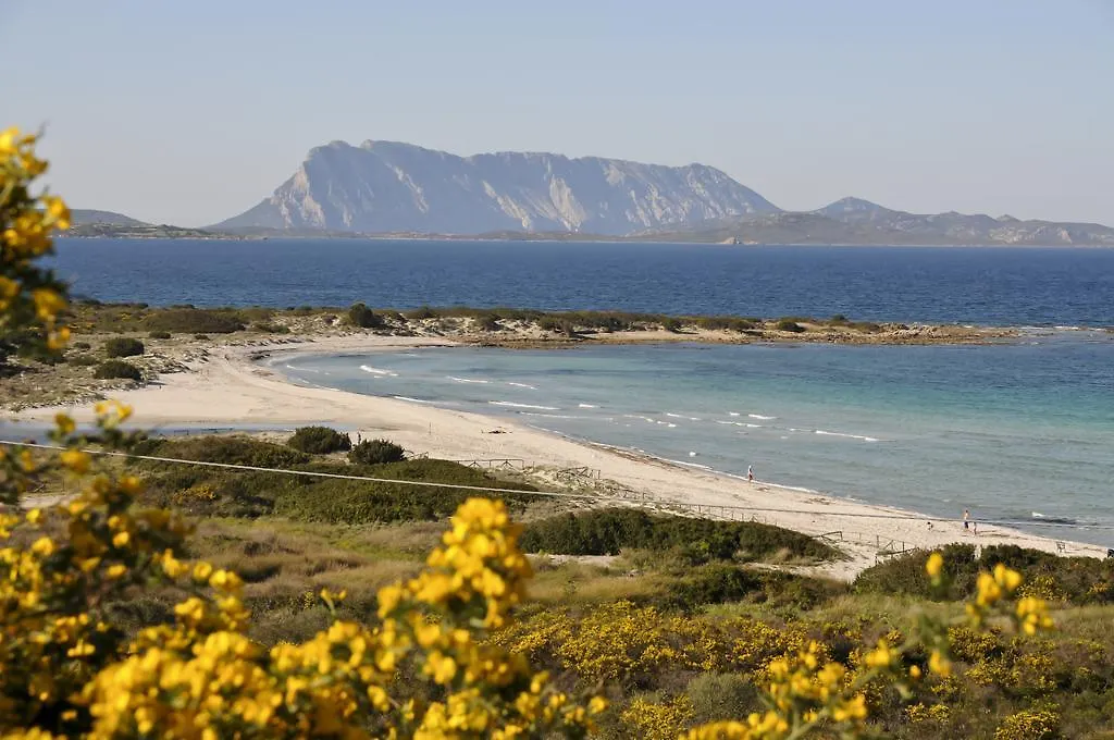 Bed & Breakfast Bed and Breakfast Bandi House San Teodoro  Italia
