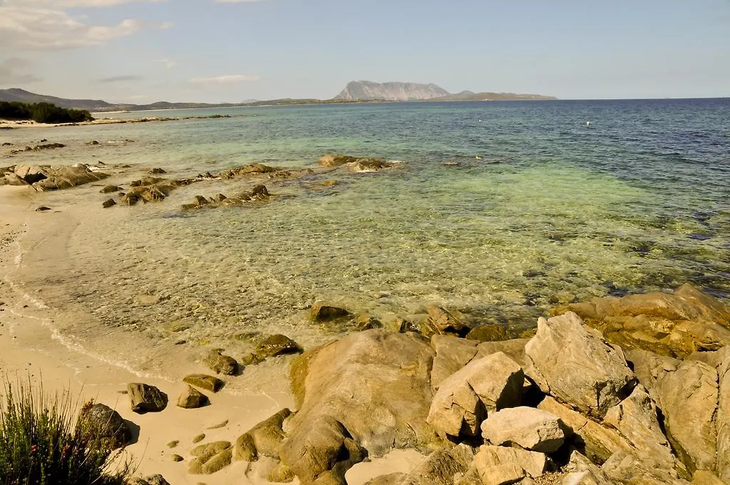 Bed and Breakfast Bandi House San Teodoro  0*, San Teodoro (Sardinia)