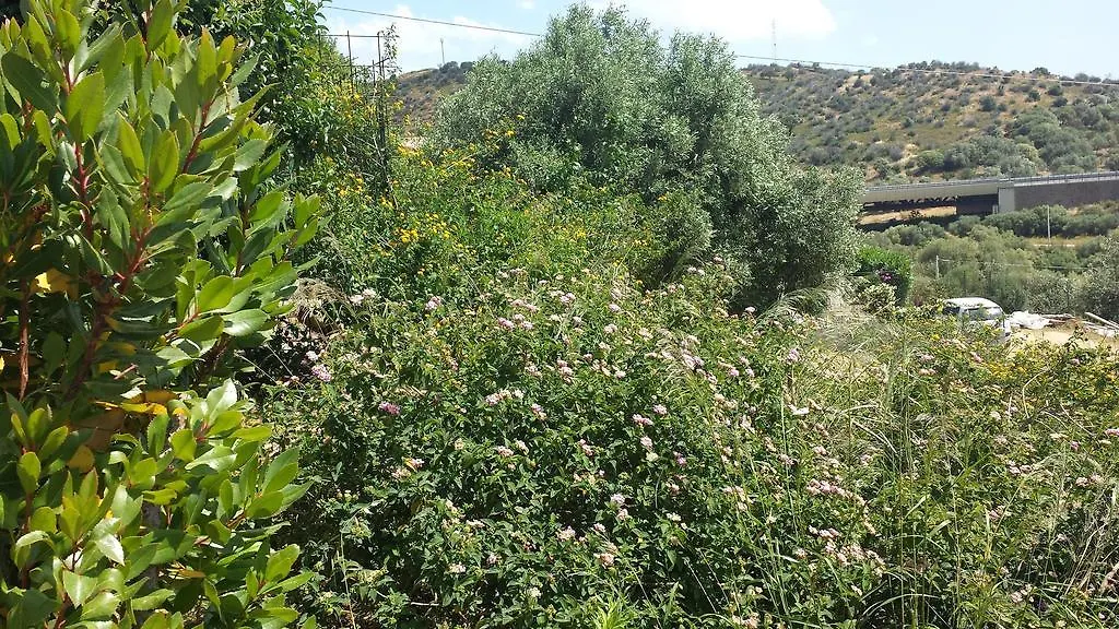 Bandi Bed & Breakfast San Teodoro (Sardinia)