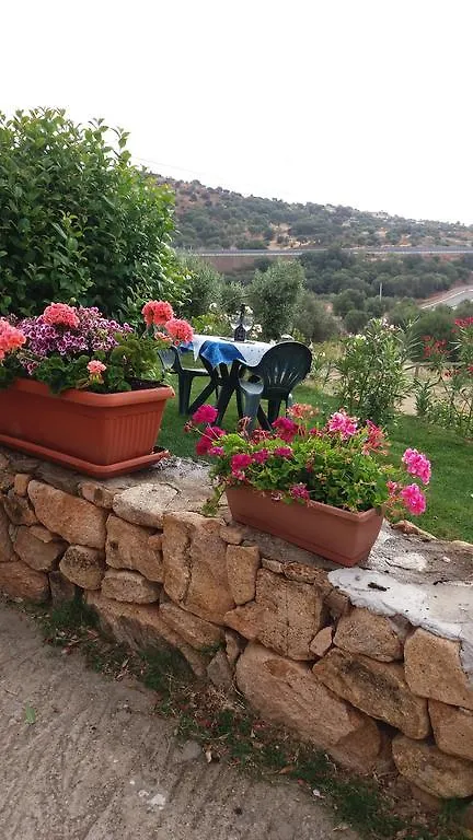 Bed and Breakfast Bandi House San Teodoro  0*, San Teodoro (Sardinia)